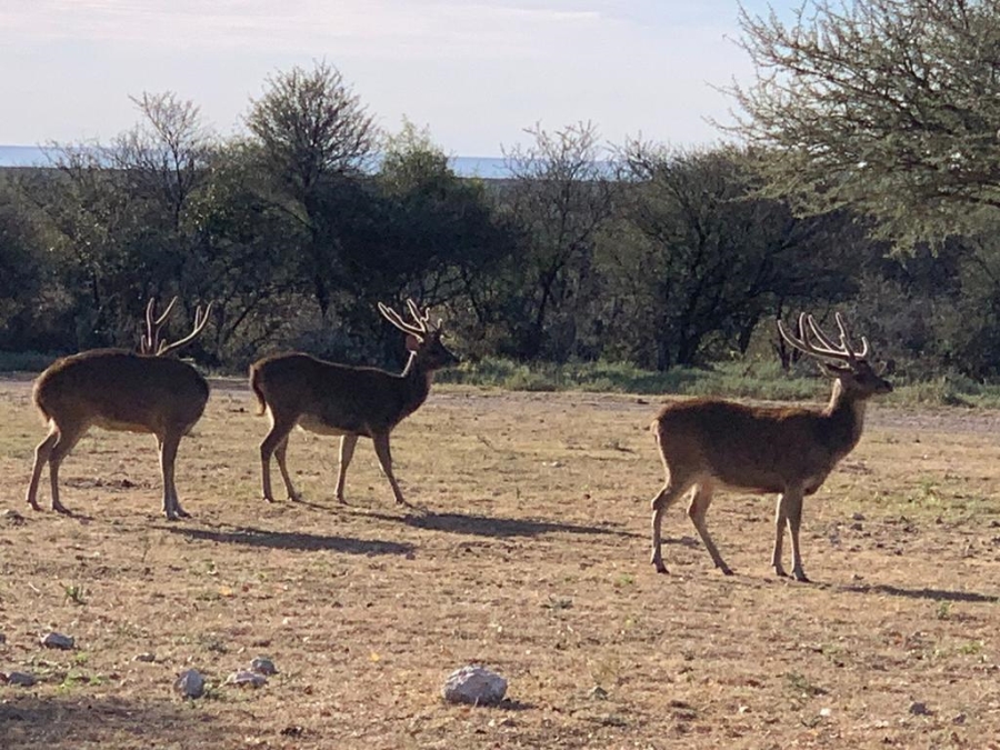 4 Bedroom Property for Sale in Kimberley Rural Northern Cape